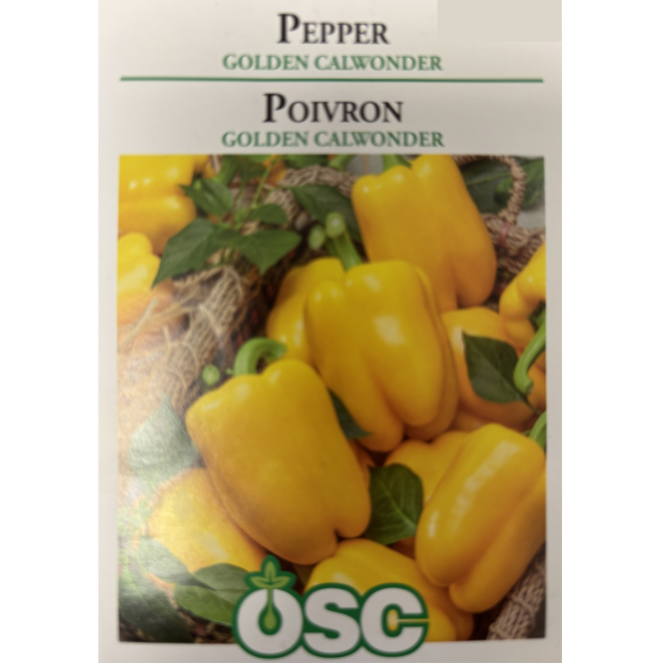 OSC Seeds Pepper Calwonder Golden Pkg.