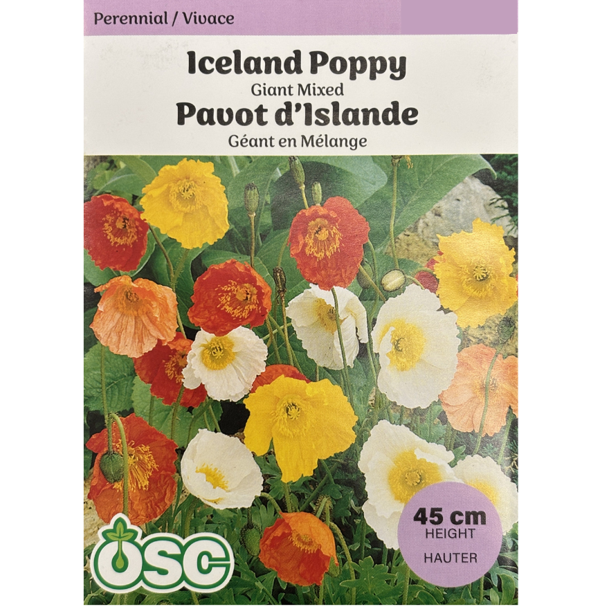OSC Seeds Poppy Iceland Giant Mixed Pkg.