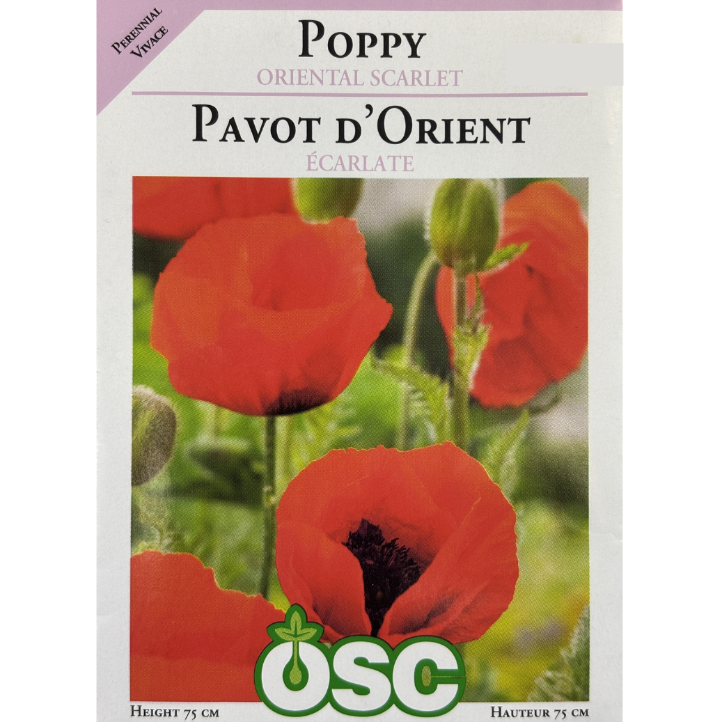 OSC Seeds Poppy Brilliant Scarlet Pkg.