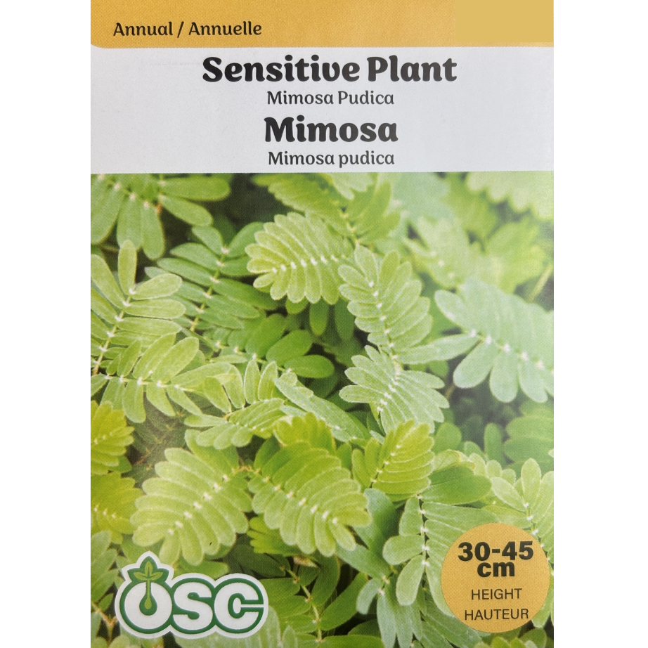 OSC Seeds Sensitive Plant Mimosa Pkg.