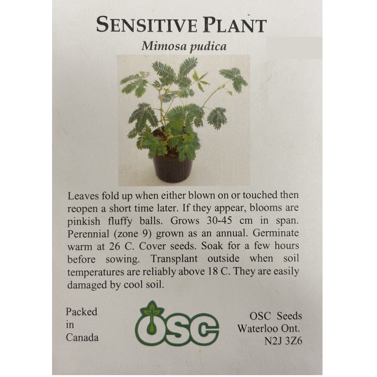OSC Seeds Sensitive Plant Mimosa Pkg.