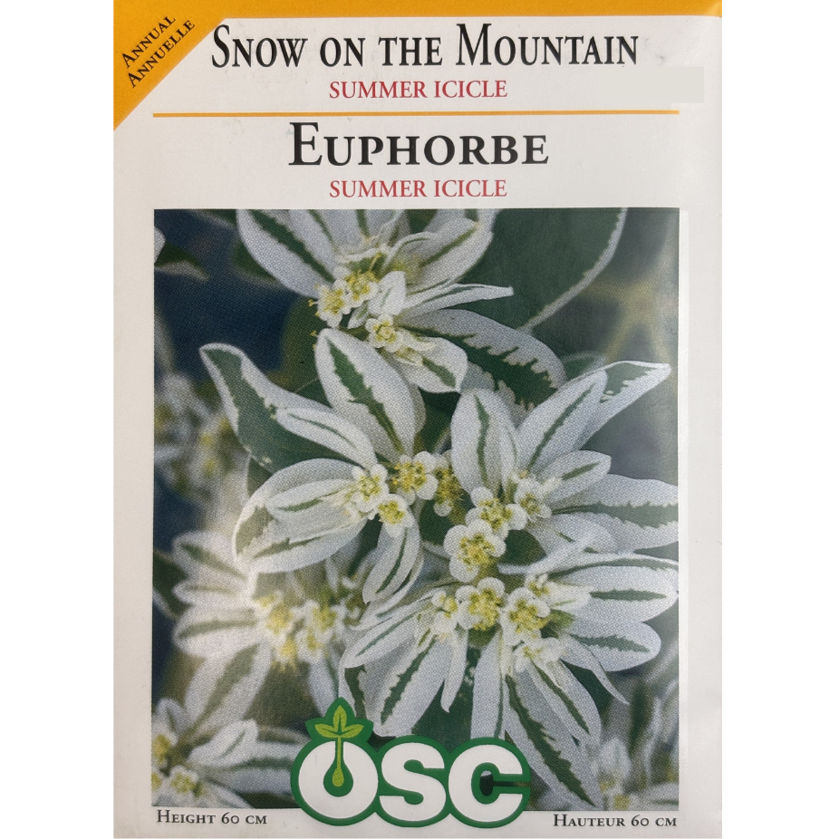 OSC Seeds Snow on the Mountain Summer Icicle Pkg.