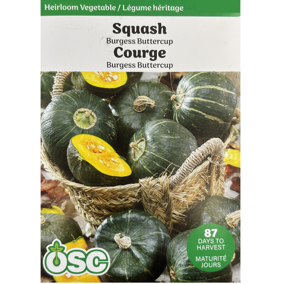 OSC Seeds Squash Burgess Buttercup Pkg.