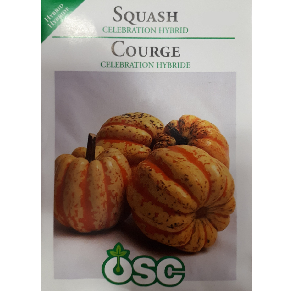 OSC Seeds Squash Celebration Pkg.
