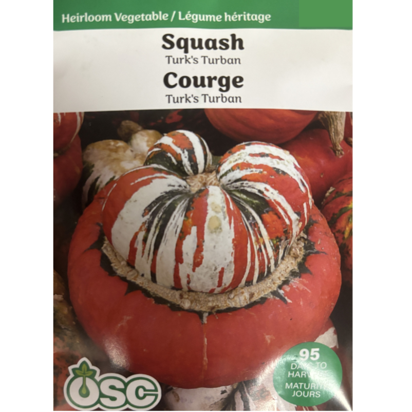 OSC Seeds Squash Turk's Turban Pkg.