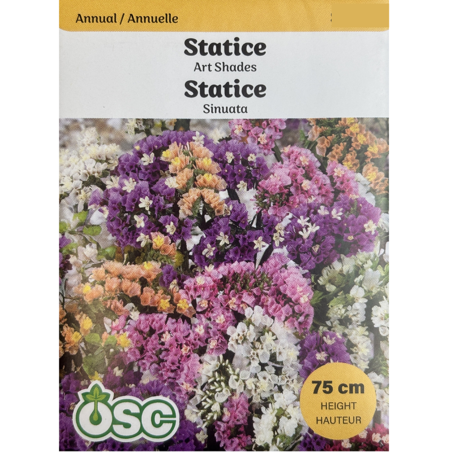 OSC Seeds Statice Art Shades Pkg.