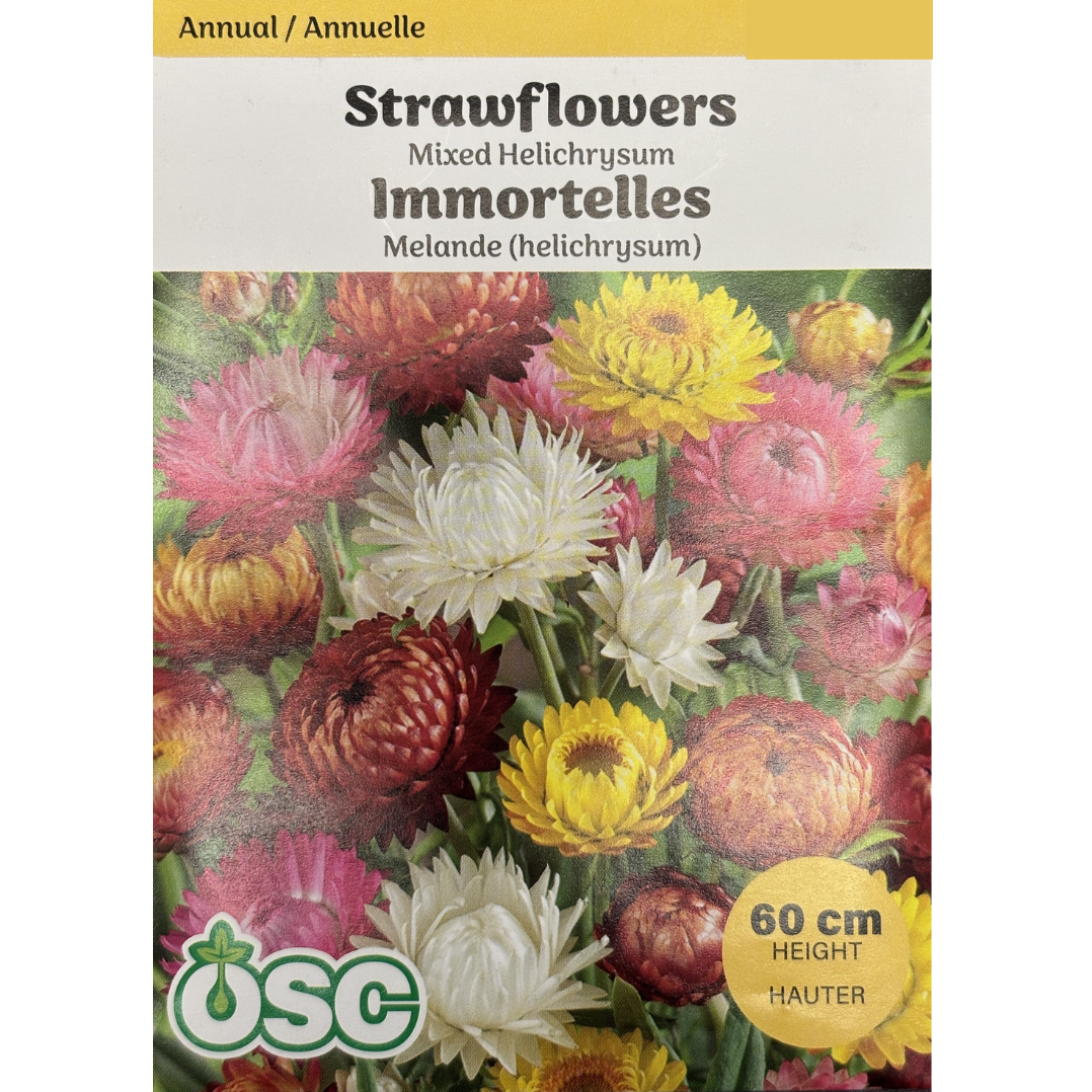 OSC Seeds Strawflowers Mixed Helichrysum Pkg.