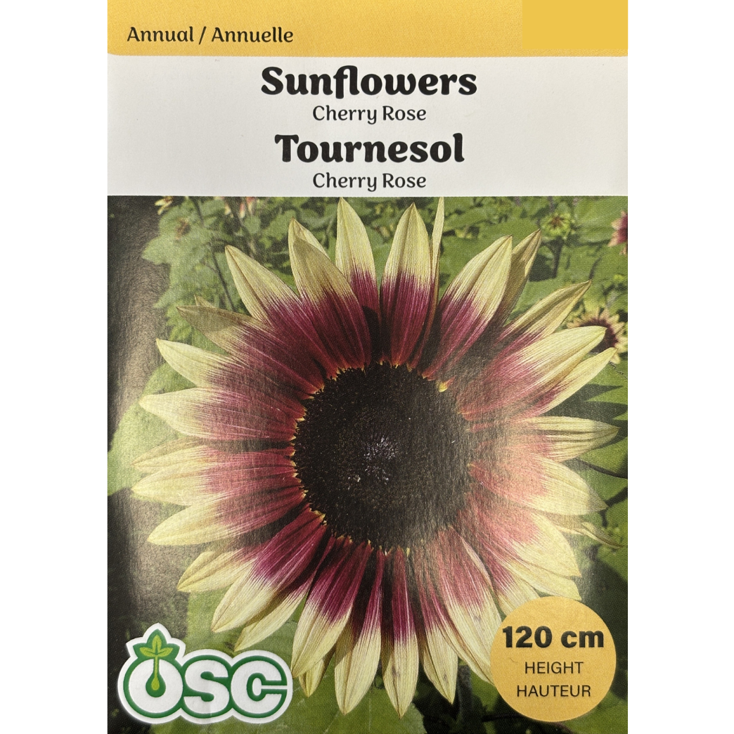OSC Seeds Sunflower Cherry Rose Pkg.