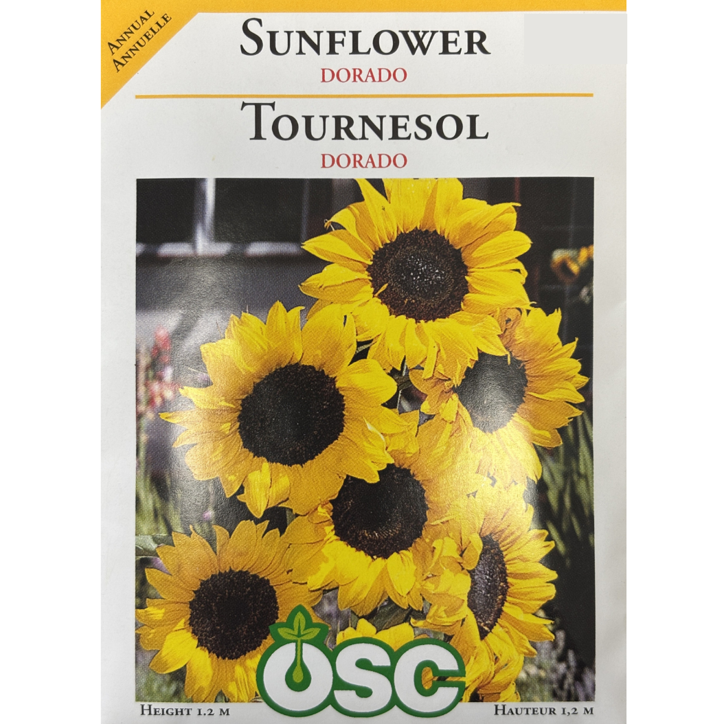 OSC Seeds Sunflower Dorado Pkg.