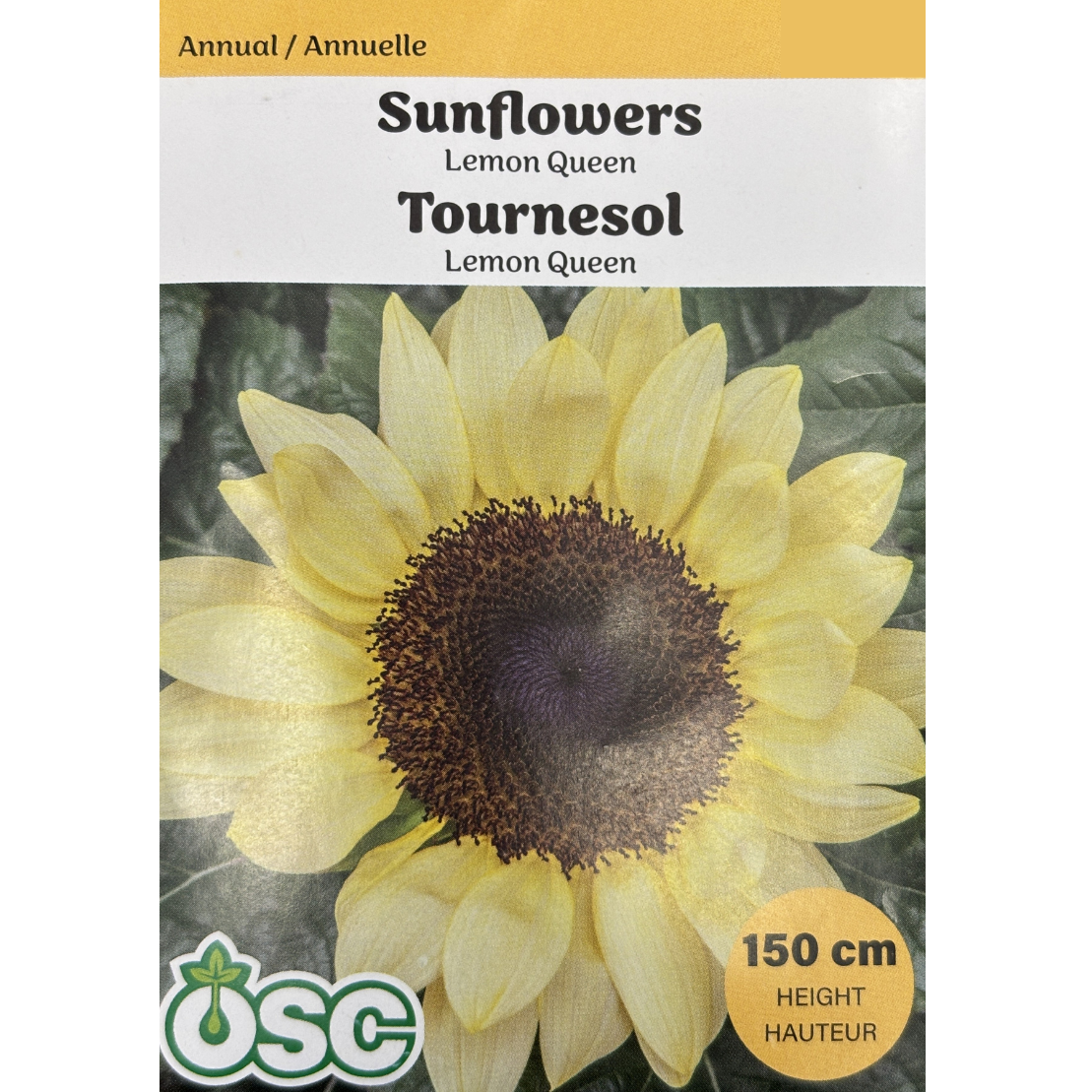 OSC Seeds Sunflower Lemon Queen Pkg.