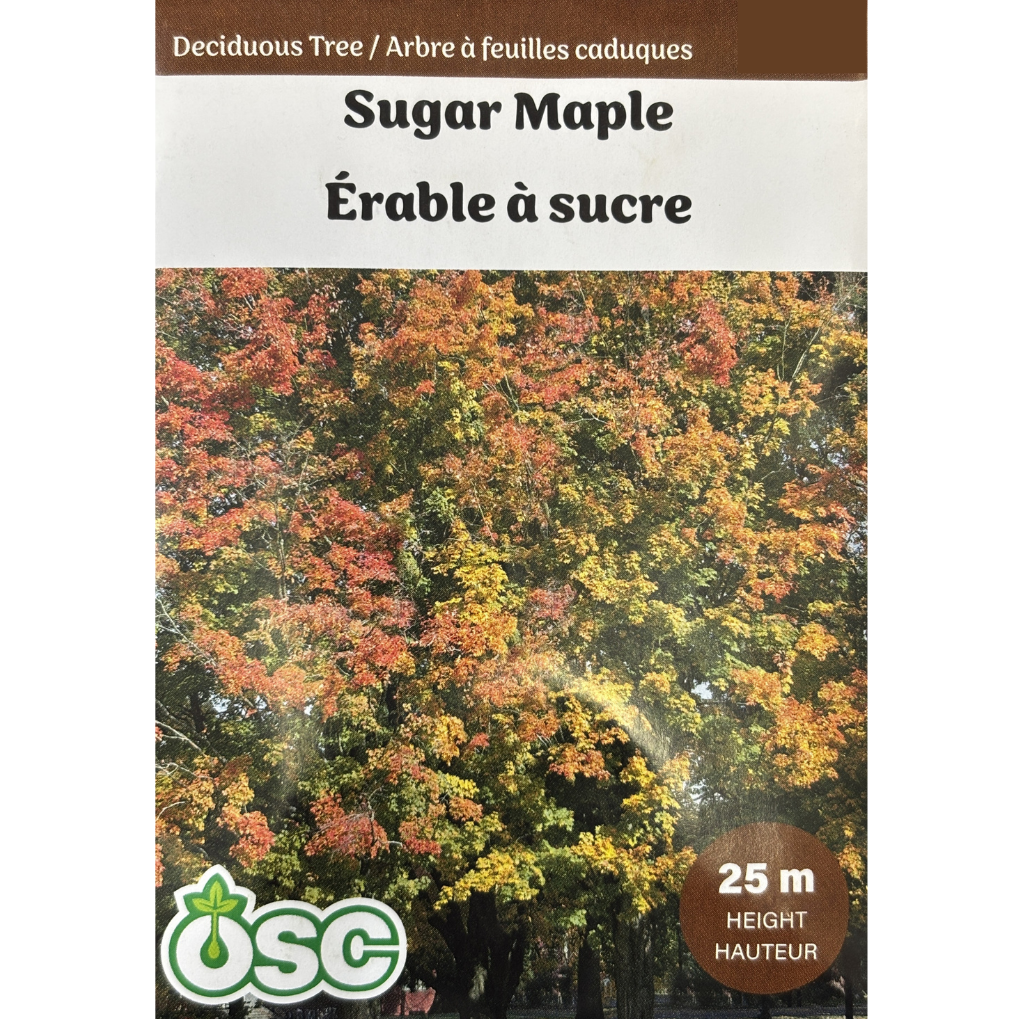 OSC Seeds Tree Maple Sugar Pkg.