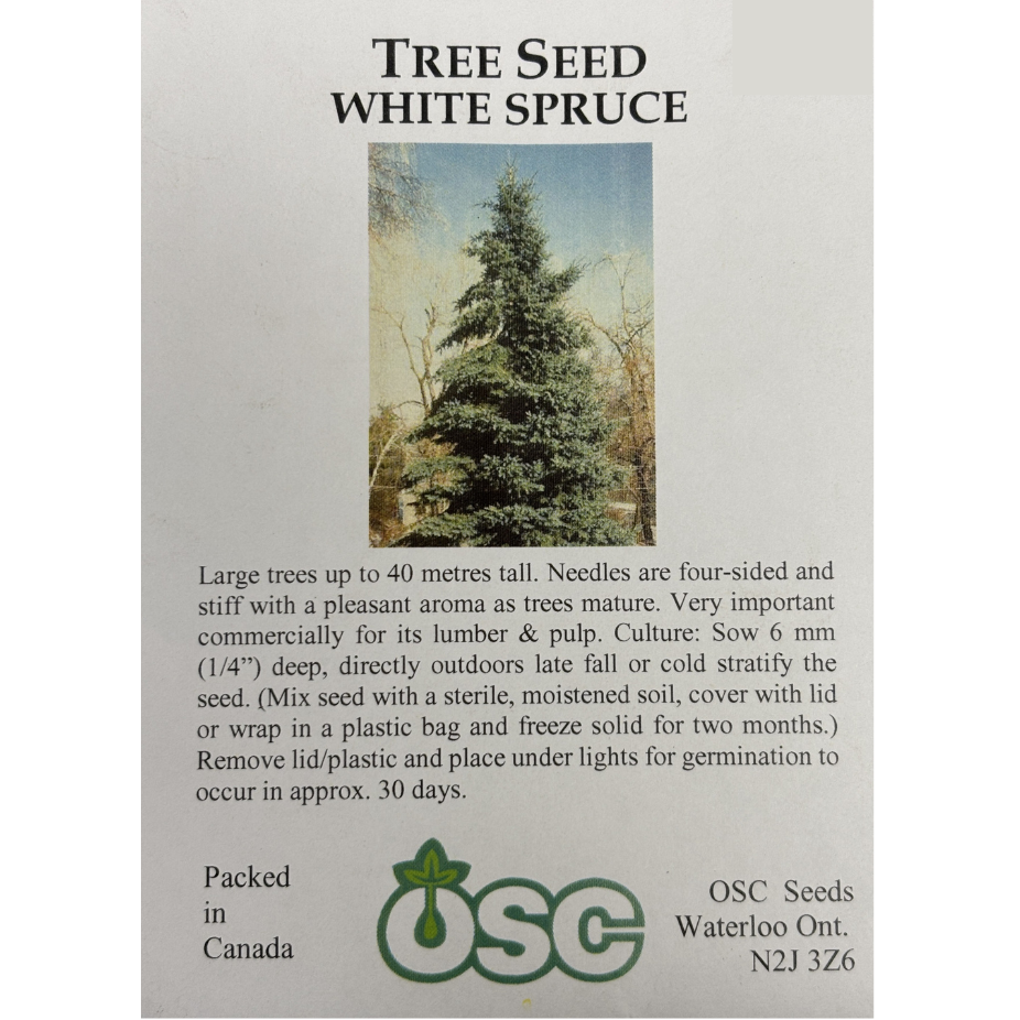 OSC Seeds Tree Spruce White Pkg.