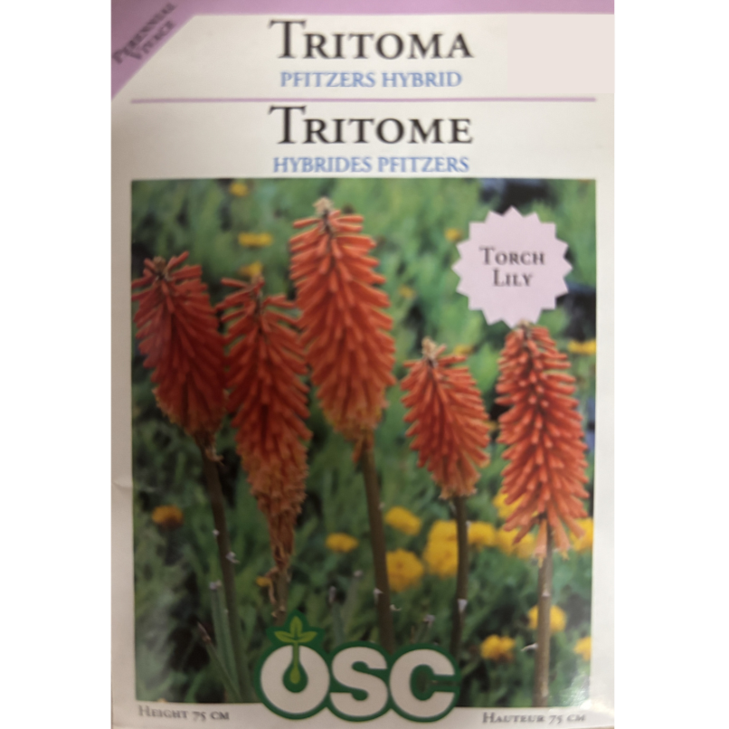 OSC Seeds Tritoma Pfitzers Hybrid Pkg.