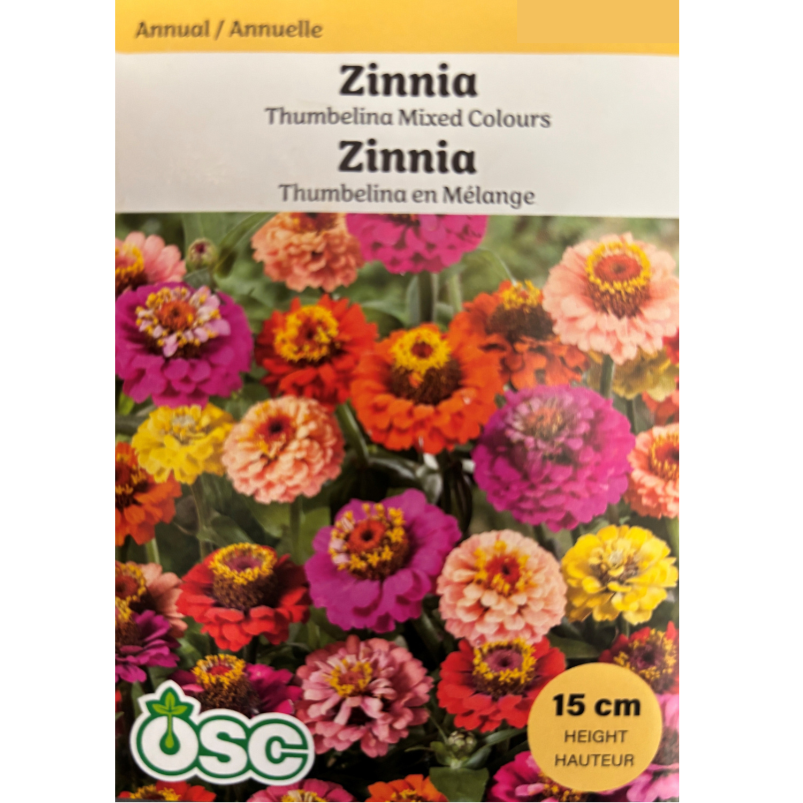 OSC Seeds Zinnia Thumbelina Mixed Colours Pkg.