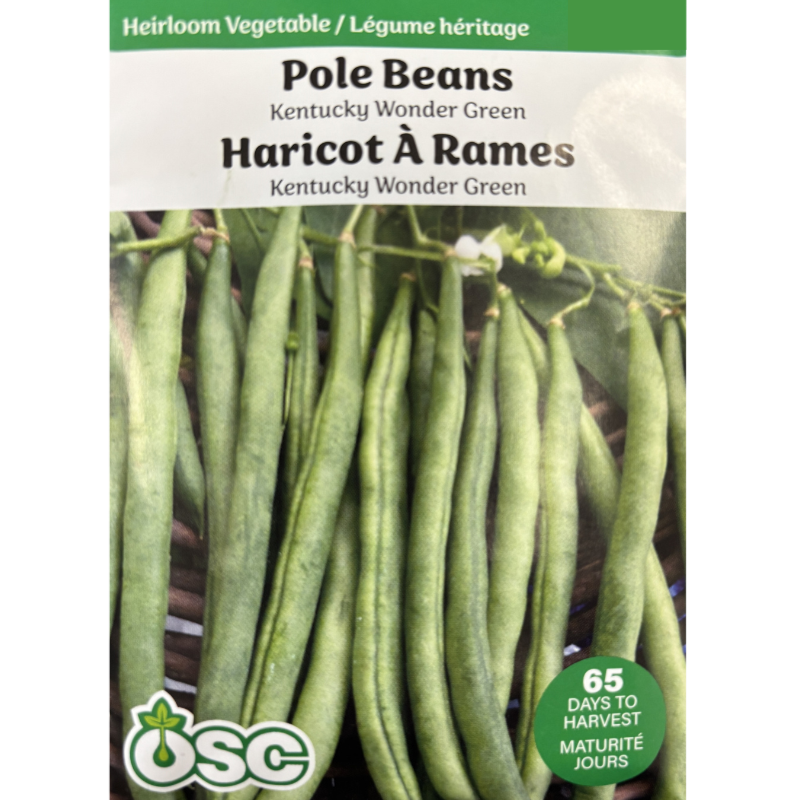 OSC Seeds Beans Pole Kentucky Wonder Green