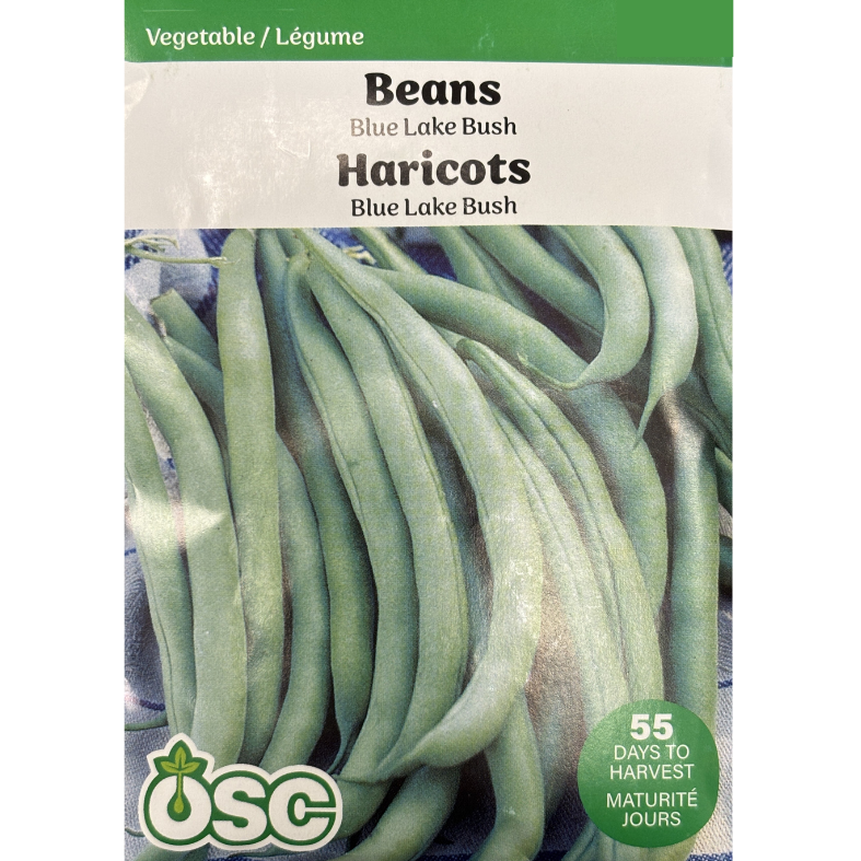 OSC Seeds Beans Blue Lake Bush