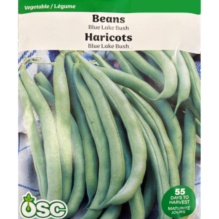 OSC Seeds Beans Blue Lake Bush