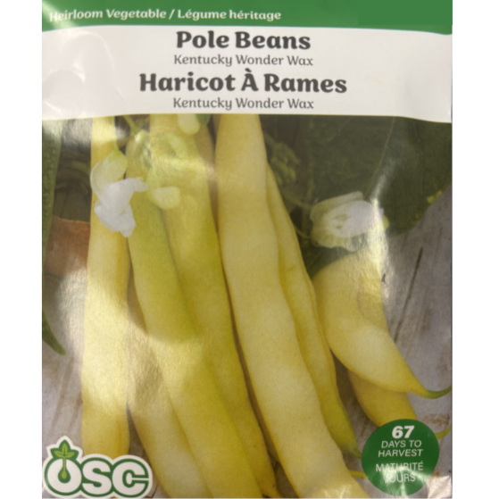 OSC Seeds Beans Kentucky Wonder Wax Pole