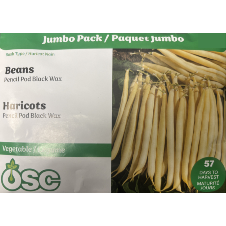 OSC Seeds Beans Pencil Pod Black Wax