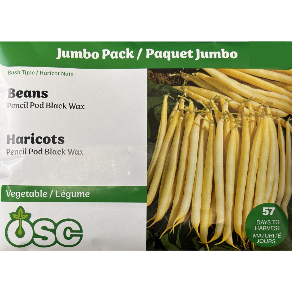 OSC Seeds Beans Pencil Pod Black Wax