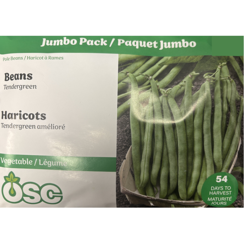 OSC Seeds Beans Tendergreen Improved Pkg.