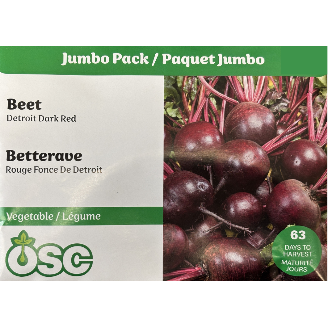 OSC Seeds Beets Detroit Dark Red Pkg.