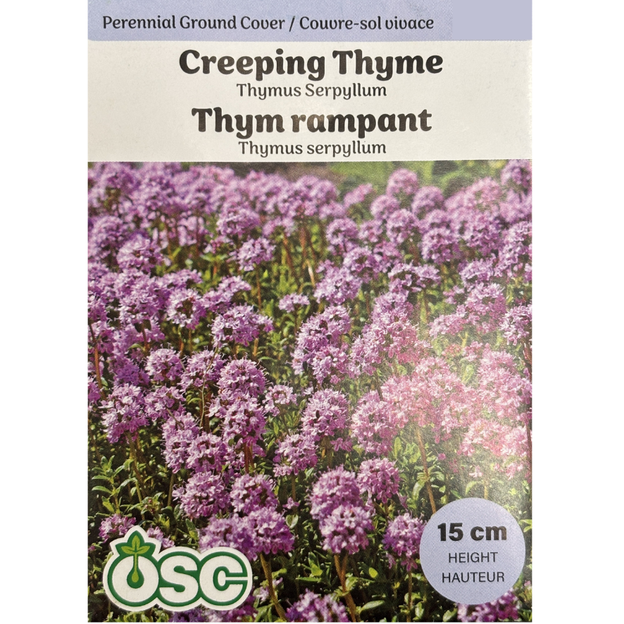 OSC Seeds Creeping Thyme Pkg.