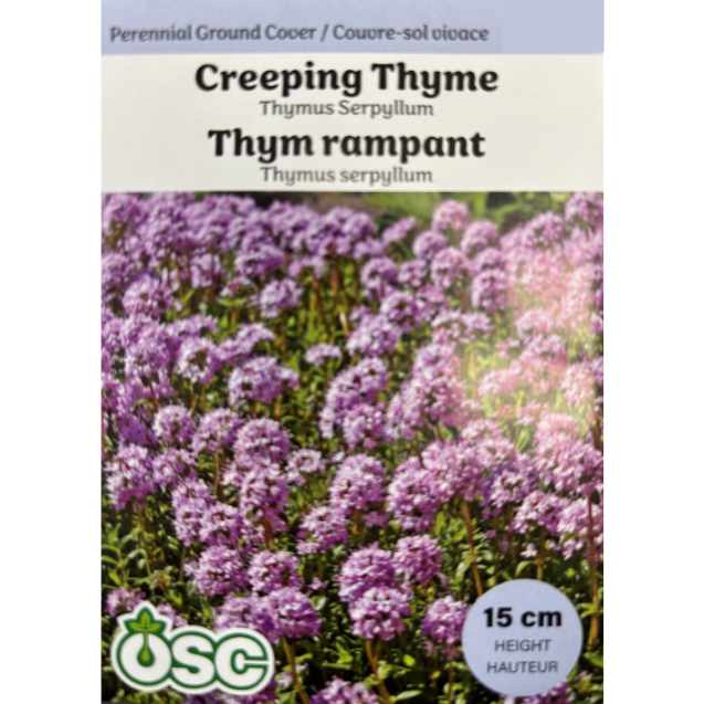 OSC Seeds Creeping Thyme Pkg.