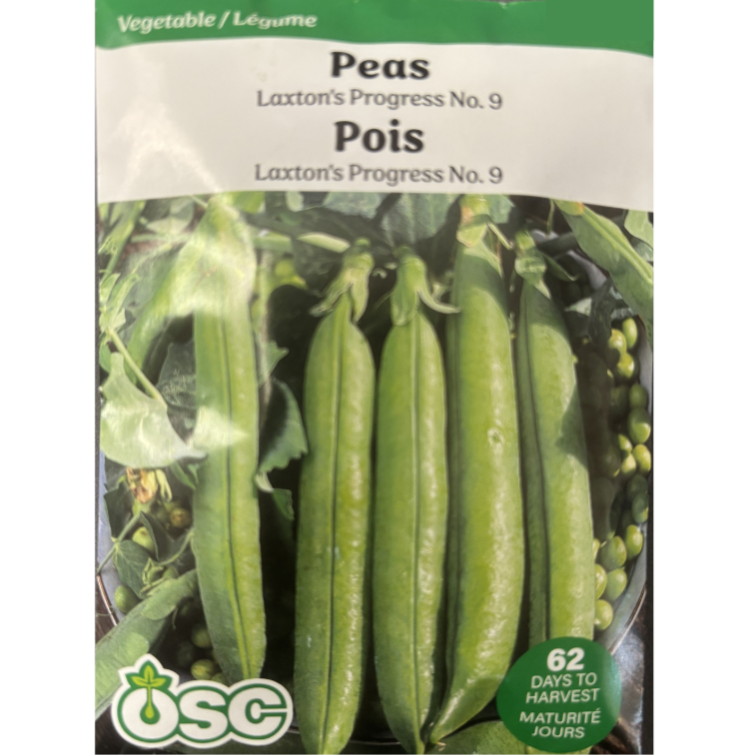 OSC Seeds Pea Laxton's Progress No.9