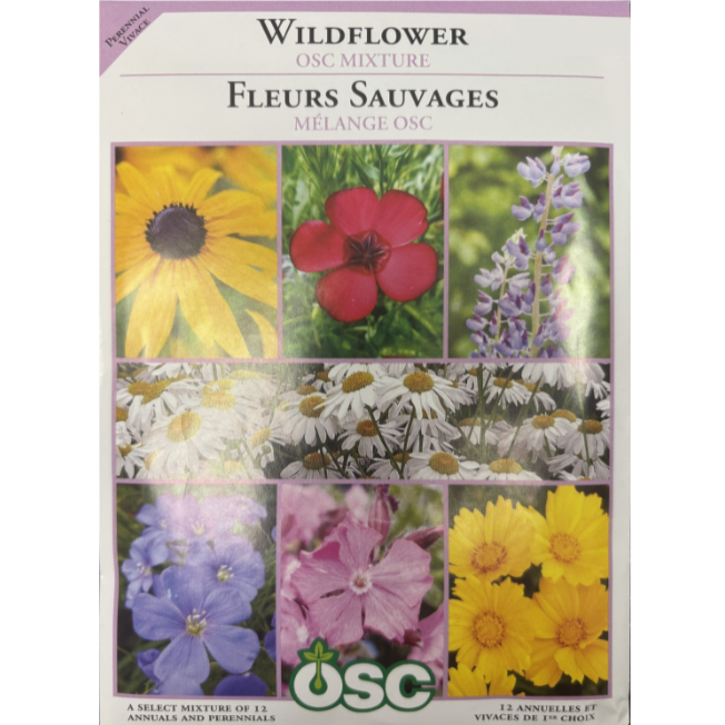 OSC Seeds Wildflower Mixture