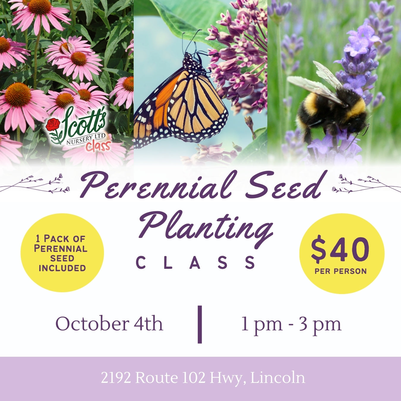 Perennial Seed Planting Class