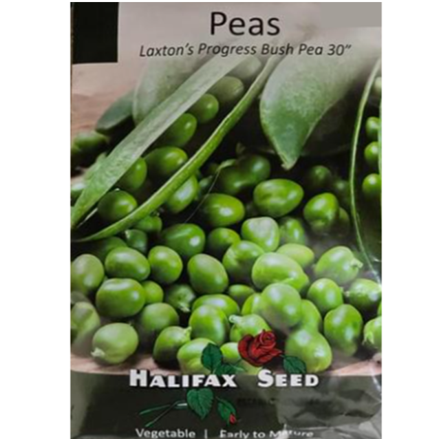 Halifax Seed Peas Laxton's Progress Bush Pkg.