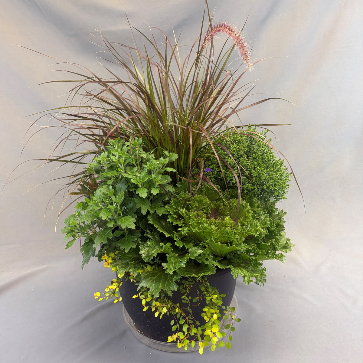 Fall Mixed Planters