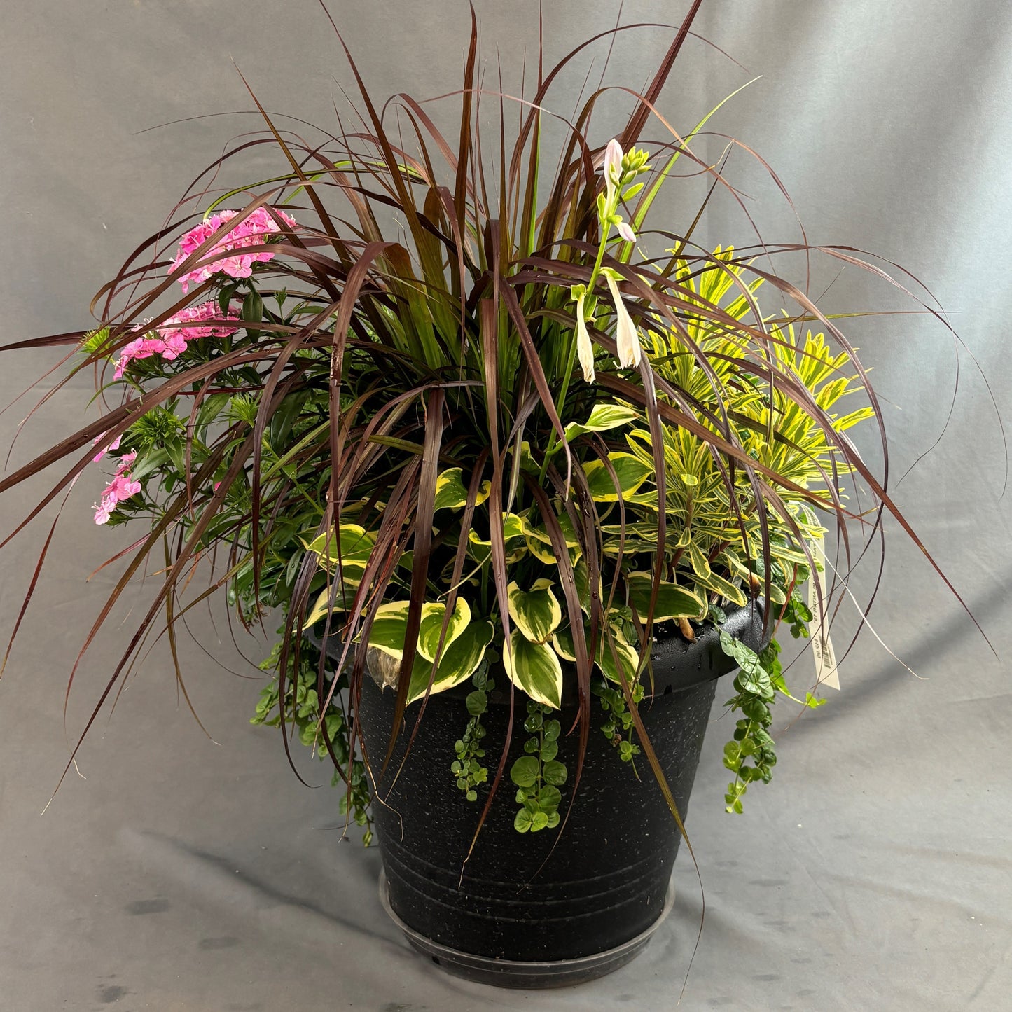 Fall Mixed Planters