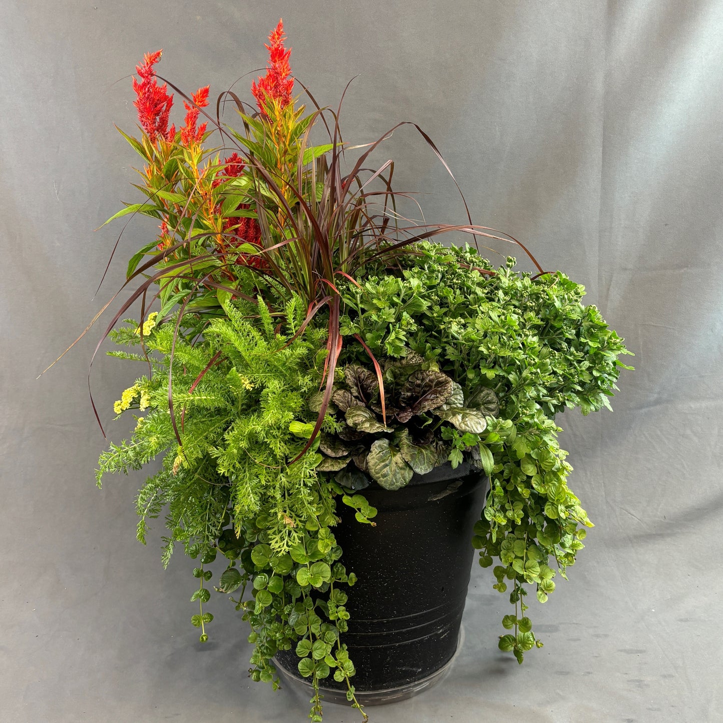Fall Mixed Planters