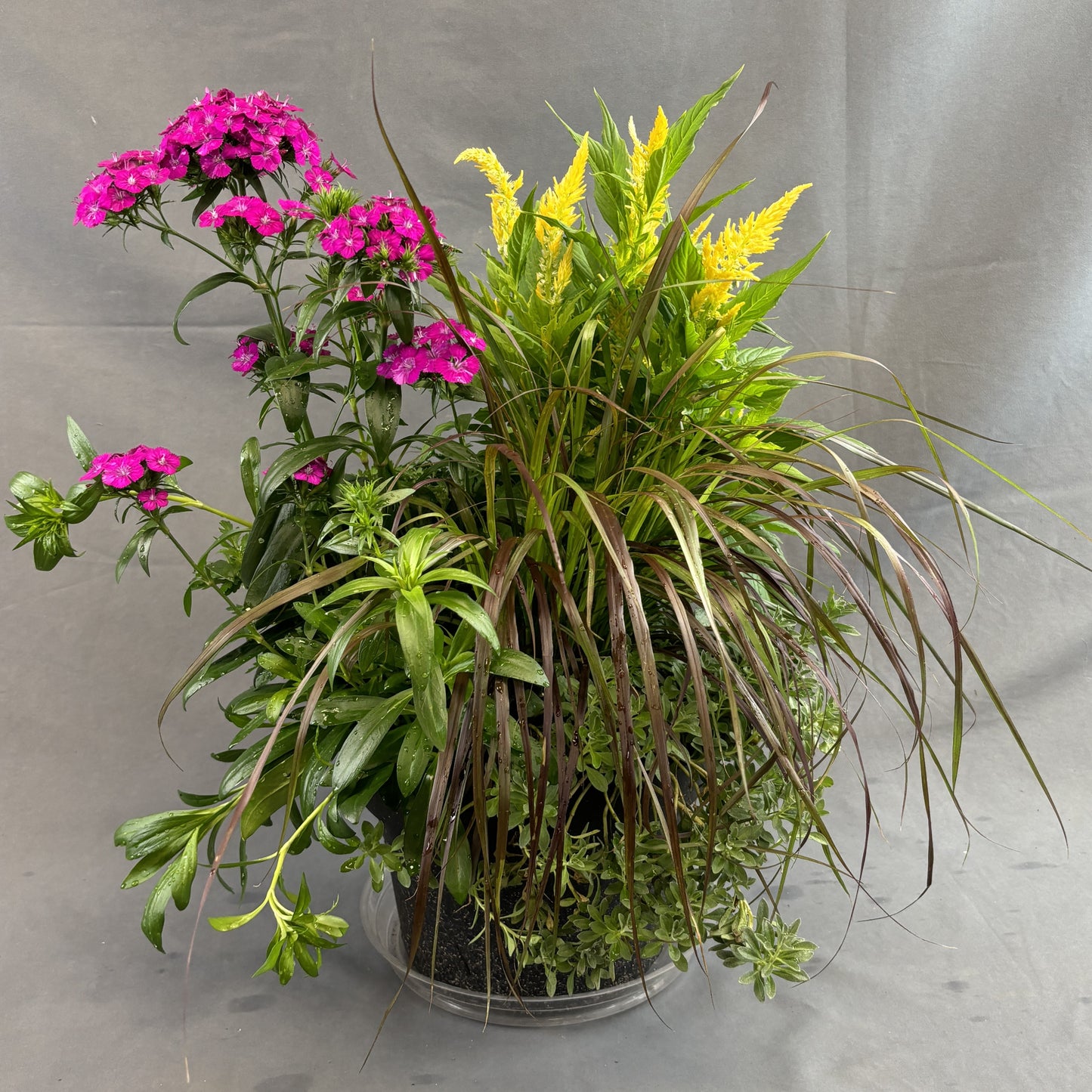 Fall Mixed Planters