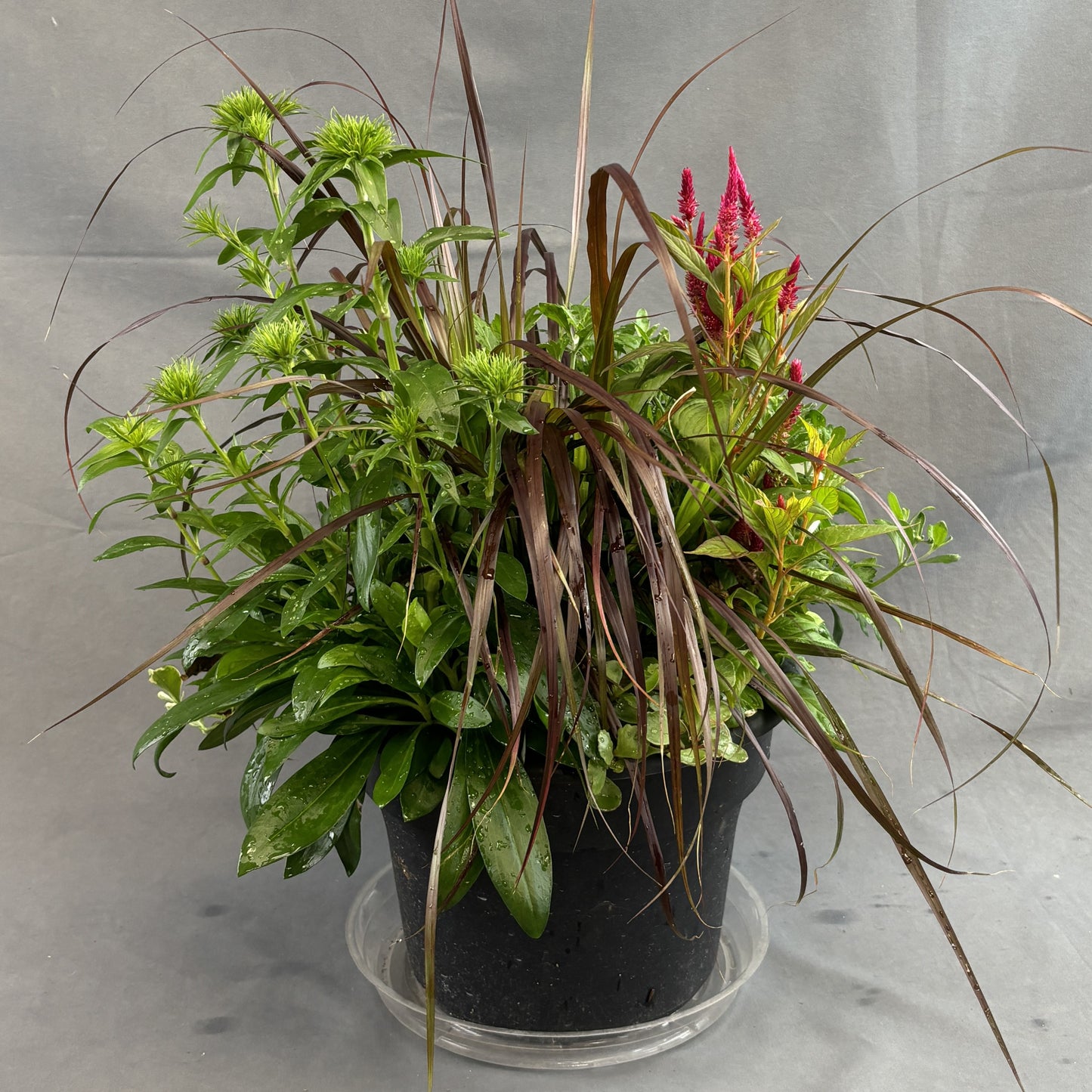 Fall Mixed Planters