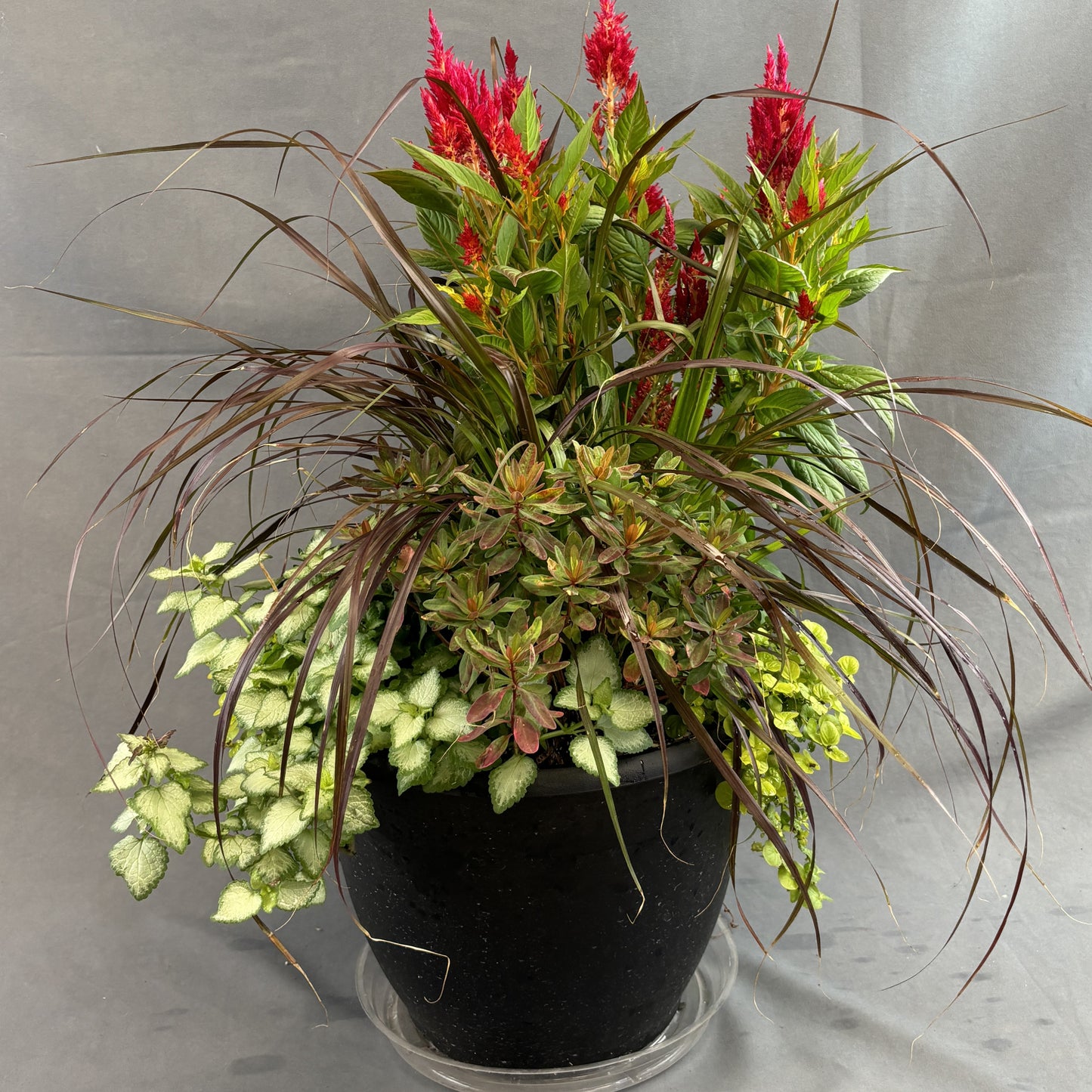 Fall Mixed Planters