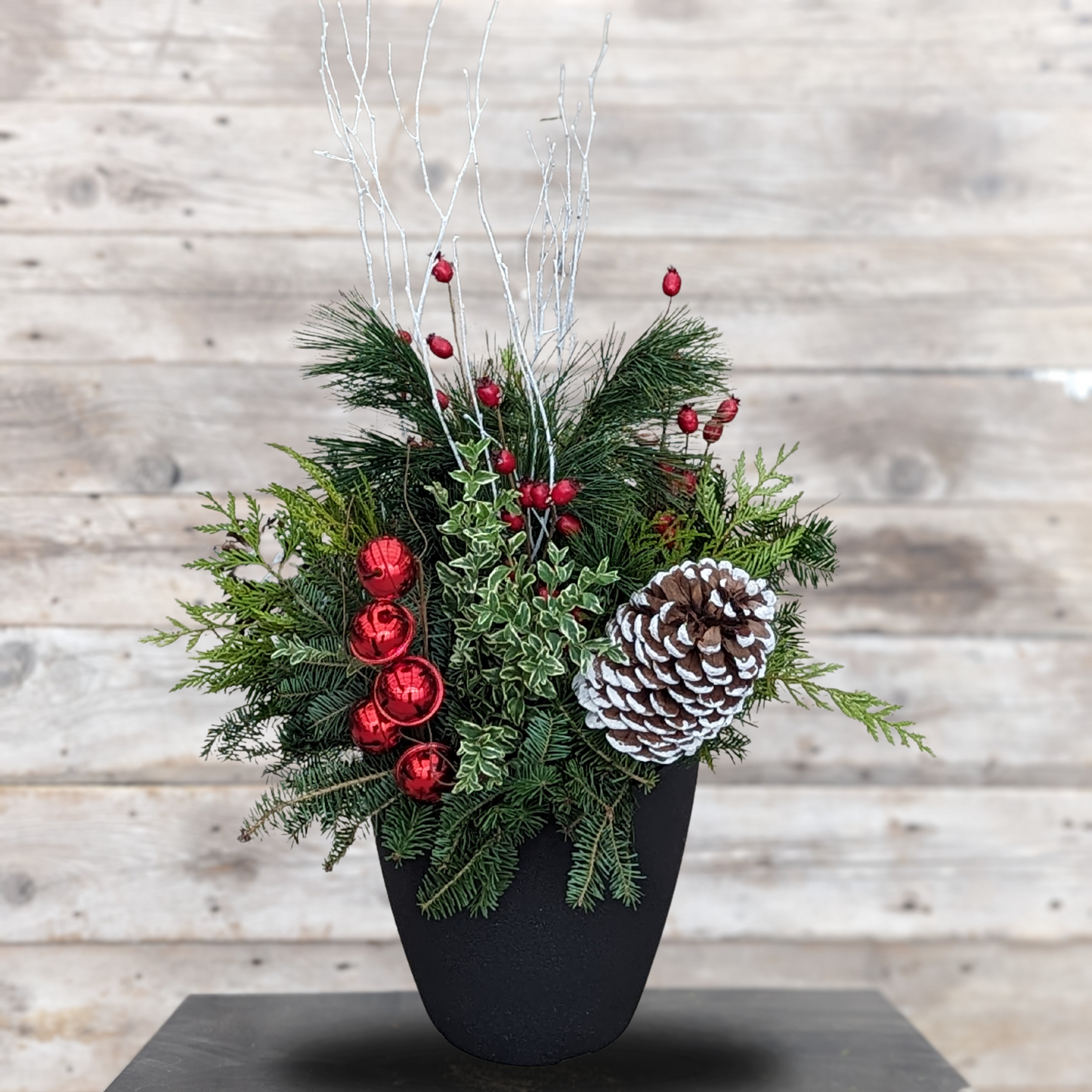 Fresh Christmas Planter 'Bells are Ringing' 12" Pot