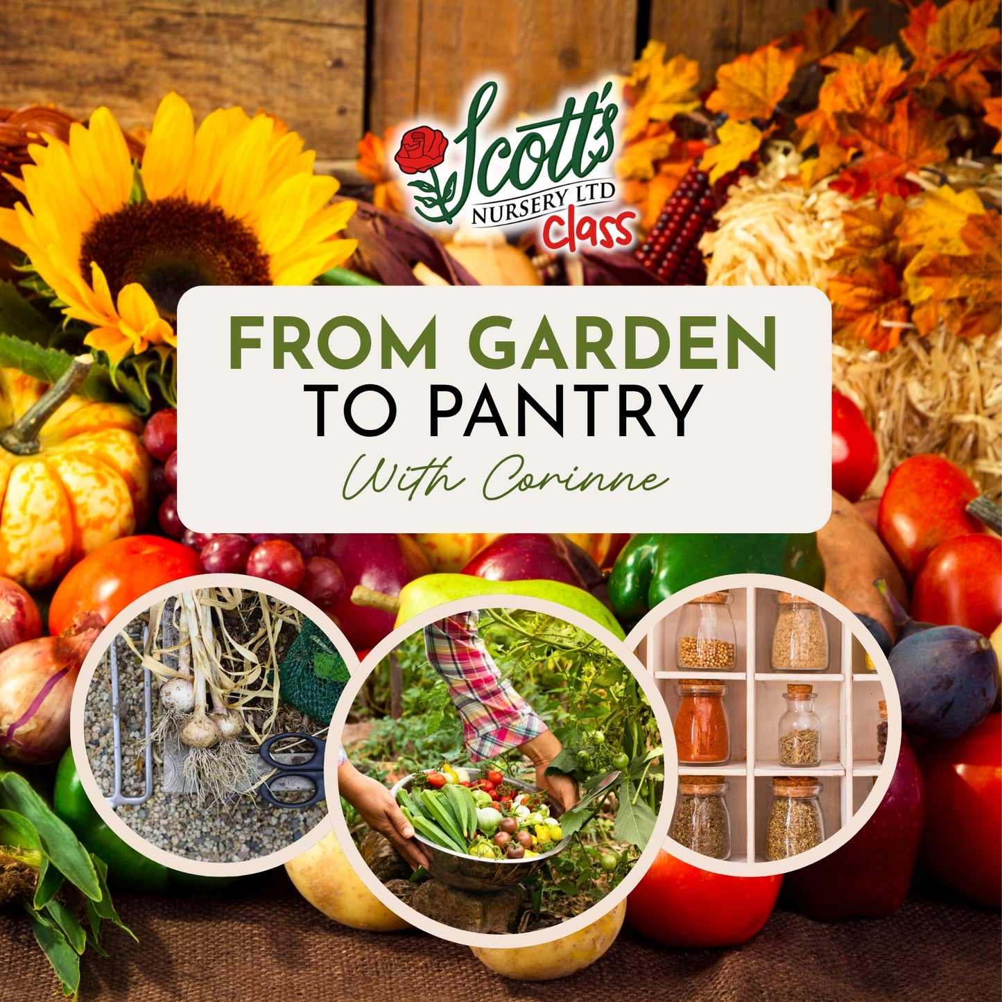 From Garden to Pantry
