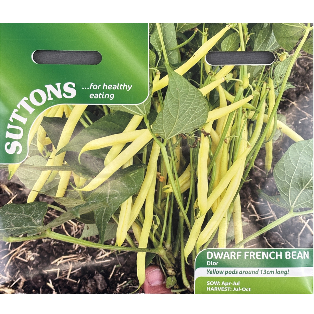 Suttons Seed Bean Dwarf French Dior Pkg.