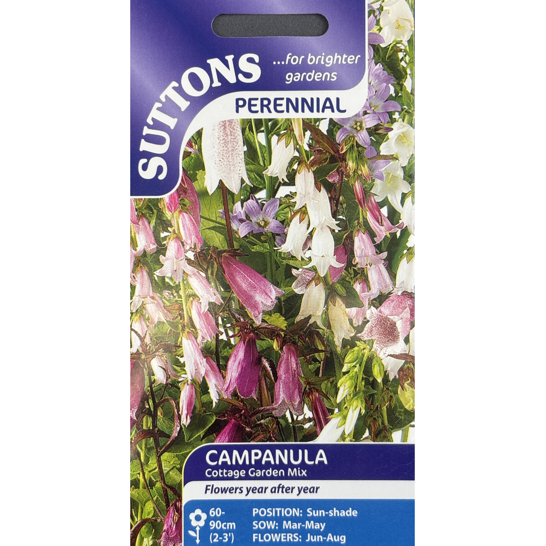 Suttons Seed Campanula Cottage Garden Mix Pkg.