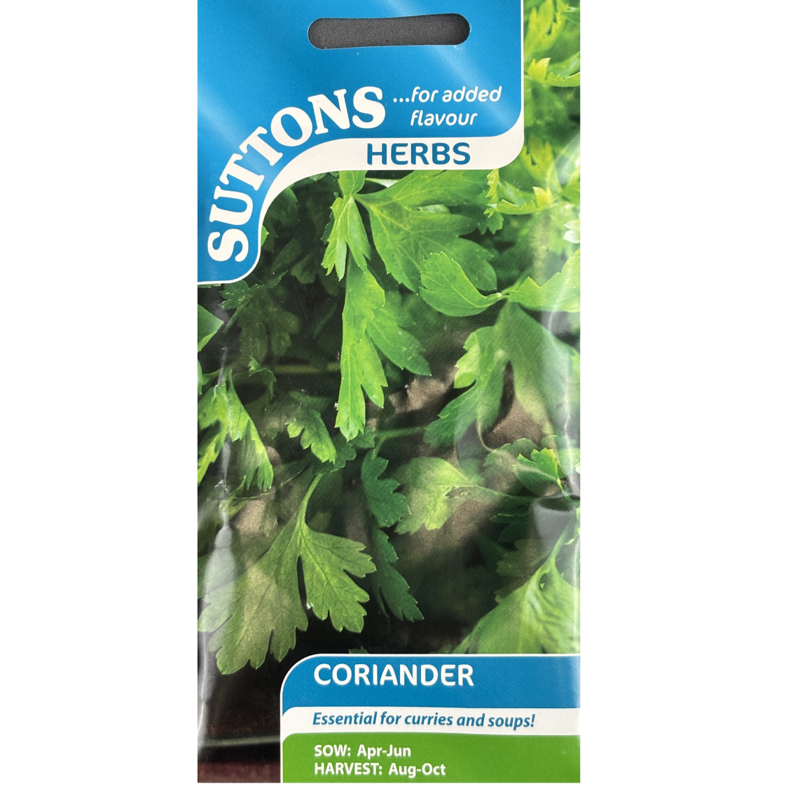 Suttons Seed Coriander Pkg.