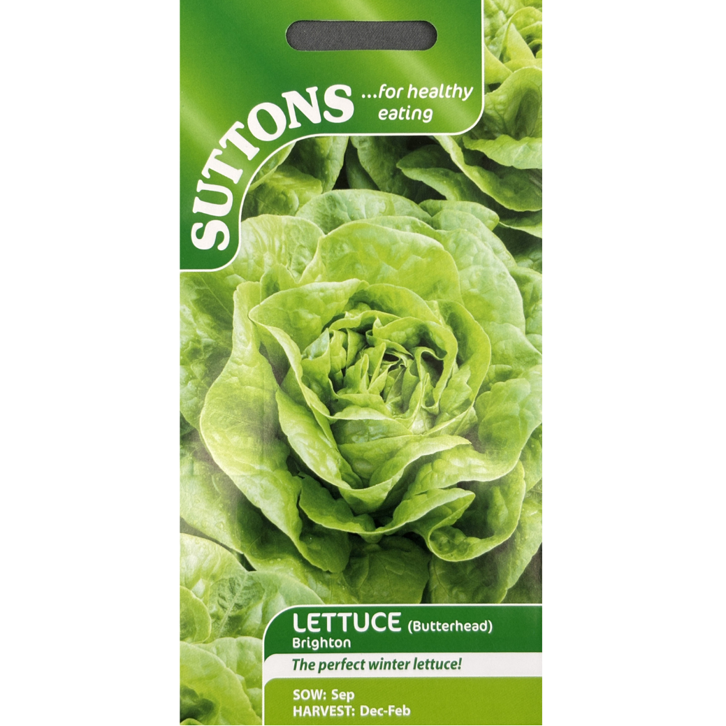 Suttons Seed Lettuce Brighton Pkg.