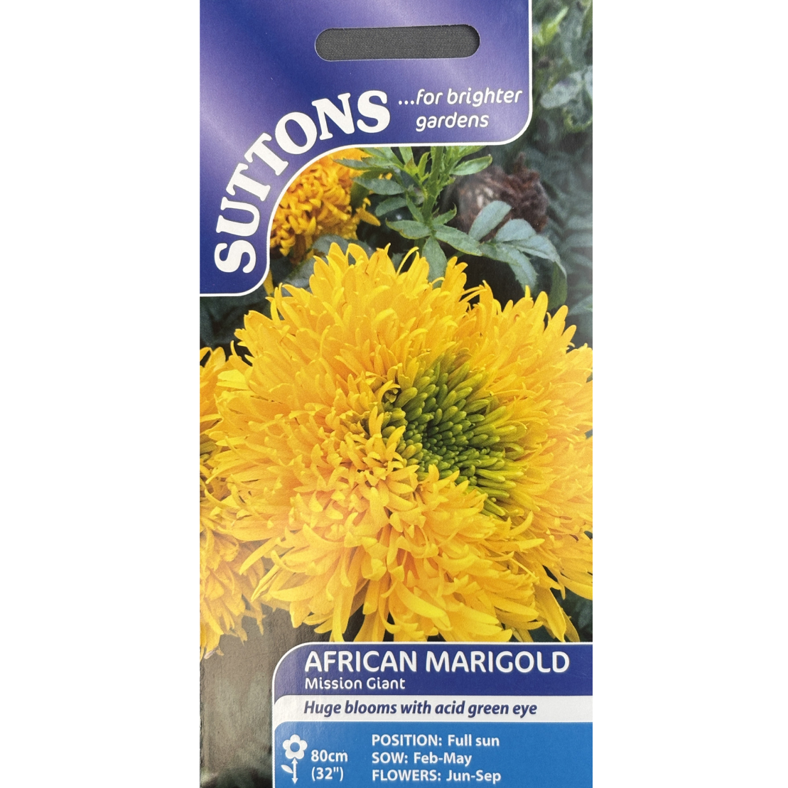 Suttons Seed Marigold African Mission Giant Pkg.