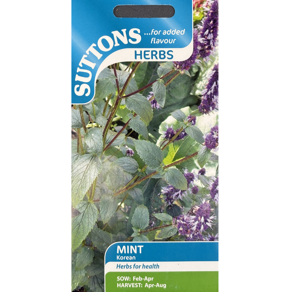Suttons Seed Mint Korean Pkg.