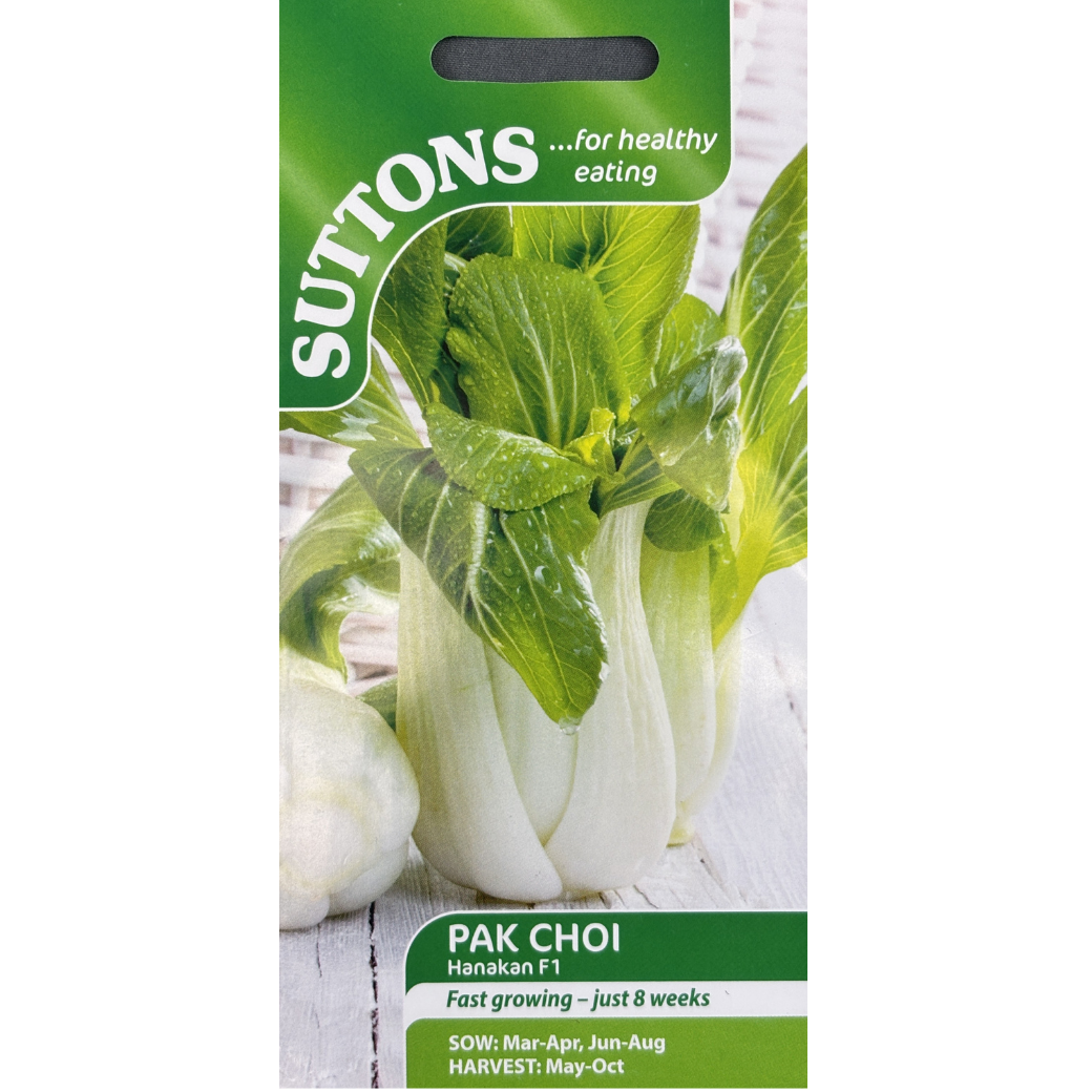 Suttons Seed Pak Choi Hanakan F1 Pkg.