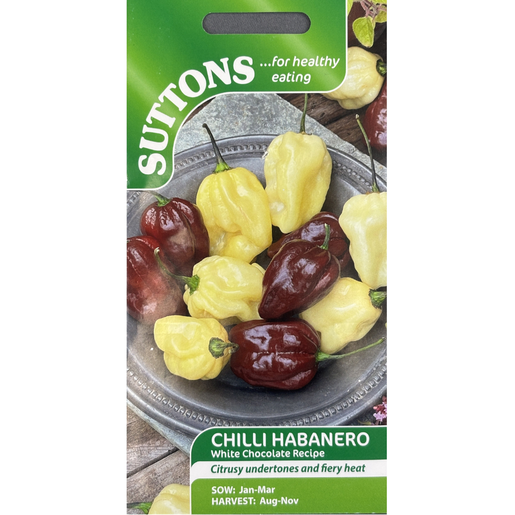 Suttons Seed Chilli Habanero Pkg.