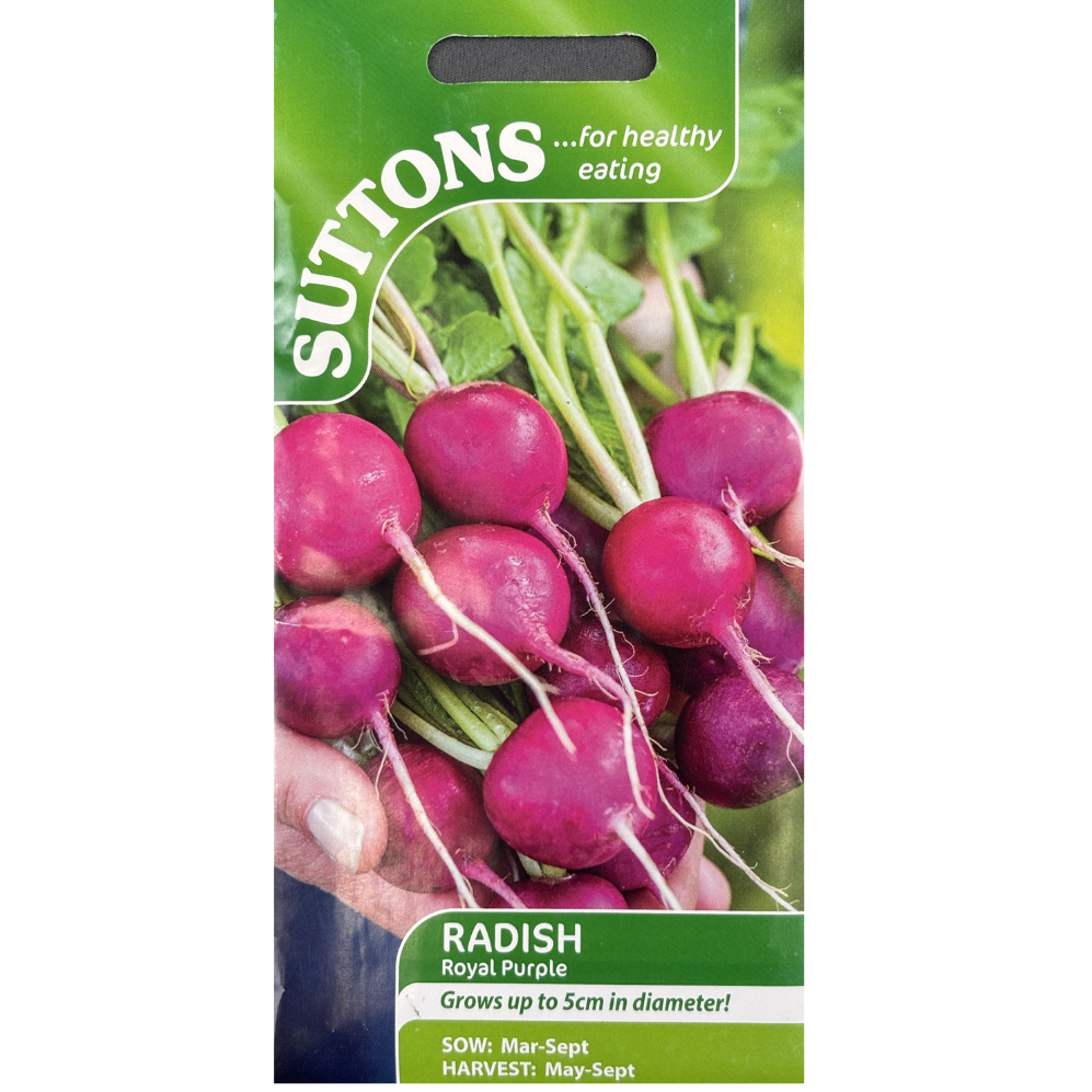 Suttons Seed Radish Royal Purple Pkg.