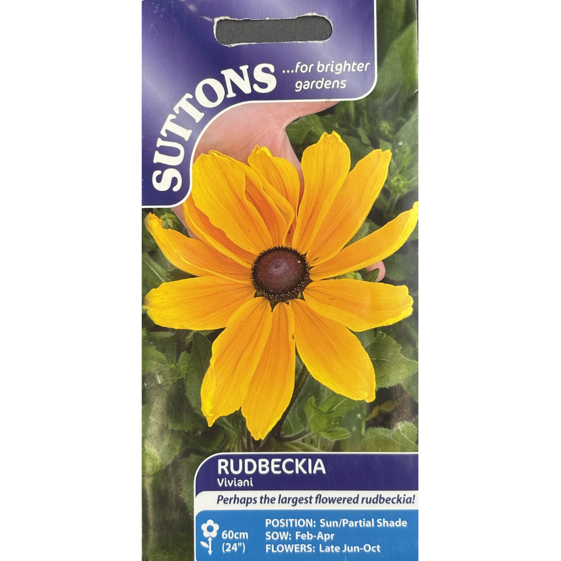 Suttons Seed Rudbeckia Viviani Pkg.